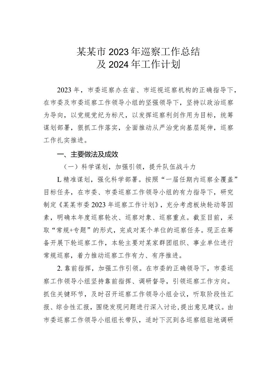 某某市2023年巡察工作总结及2024年工作计划(1).docx_第1页