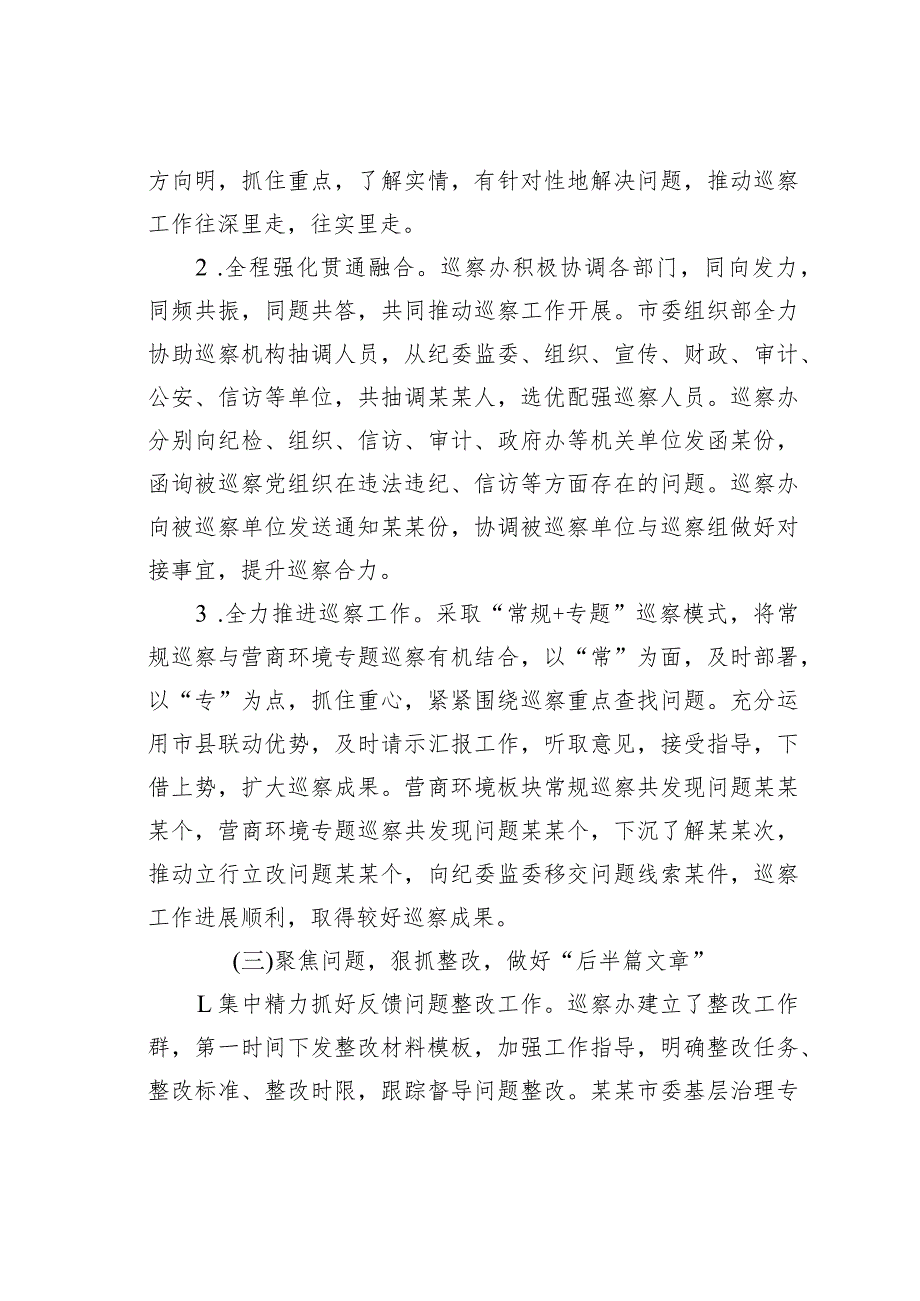 某某市2023年巡察工作总结及2024年工作计划(1).docx_第3页