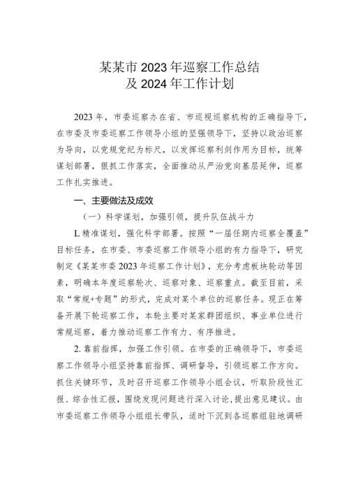 某某市2023年巡察工作总结及2024年工作计划(1).docx