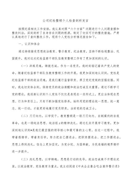 公司纪检整顿个人检查剖析发言.docx