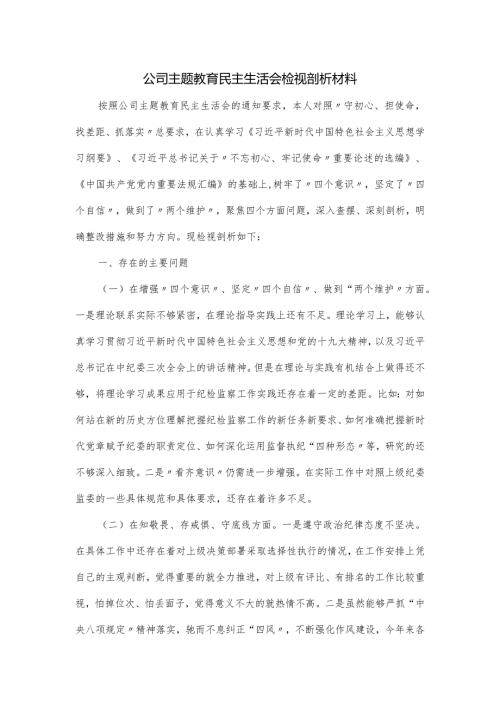公司主题教育民主生活会检视剖析材料.docx