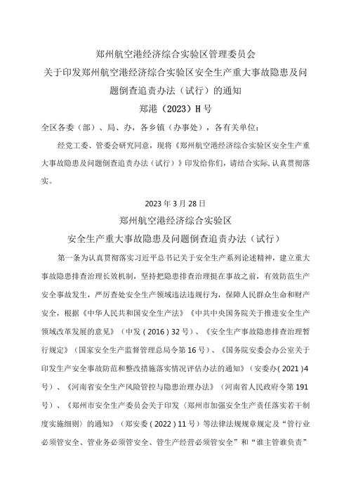 郑州航空港经济综合实验区安全生产重大事故隐患及问题倒查追责办法（试行）（2023年）.docx