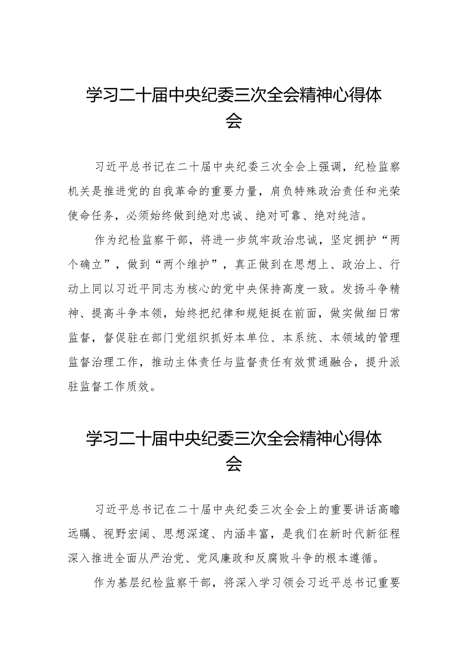 纪检干部学习贯彻二十中央纪委三次全会精神心得体会发言材料十九篇.docx_第1页