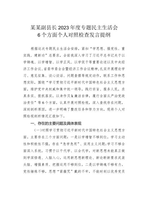 某某副县长2023专题民主生活会6个方面个人对照检查发言提纲(1).docx