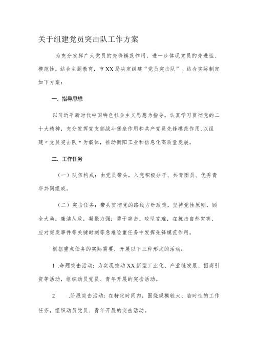 关于组建党员突击队工作方案.docx