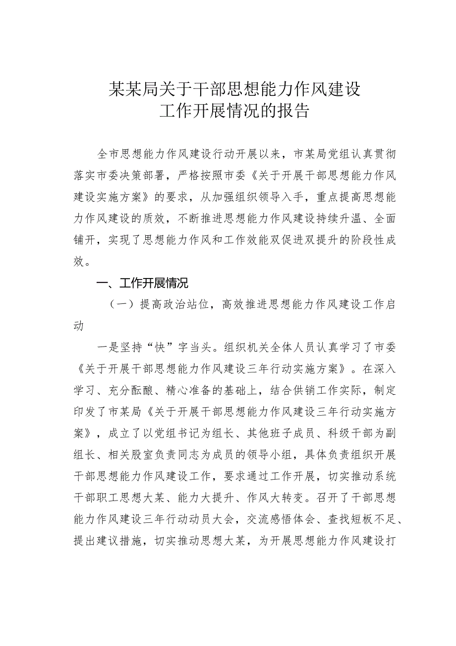 某某局关于干部思想能力作风建设工作开展情况的报告(1).docx_第1页