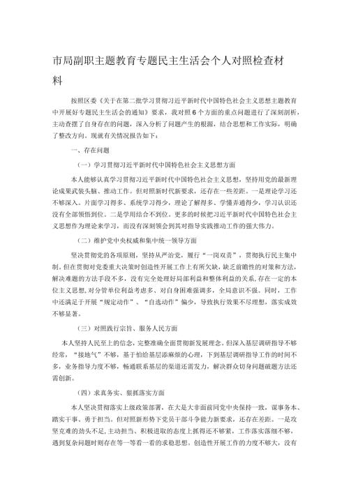 市局副职主题教育专题民主生活会个人对照检查材料.docx