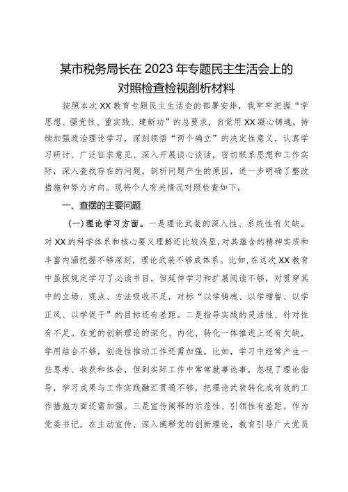 某市税务局长2023年主题教育专题民主生活会对照检查材料.docx
