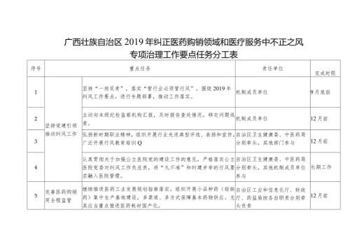 广西壮族自治区纠正医药购销领域和医疗服务中不正之风专项治理工作要点任务分工表.docx