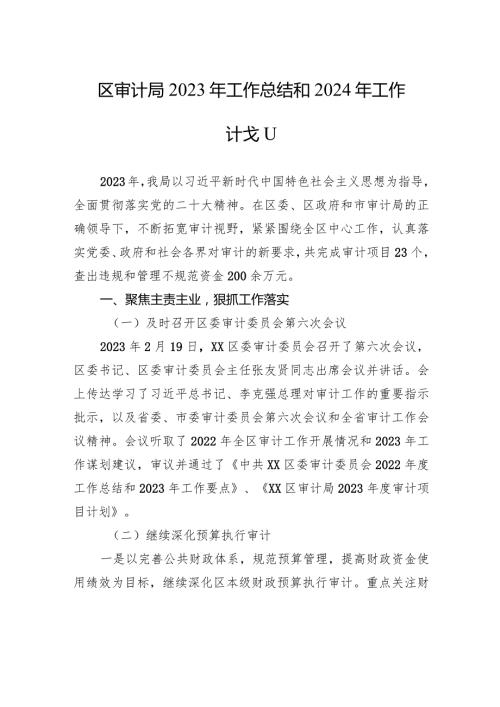 区审计局2023年工作总结和2024年工作计划(20231226).docx