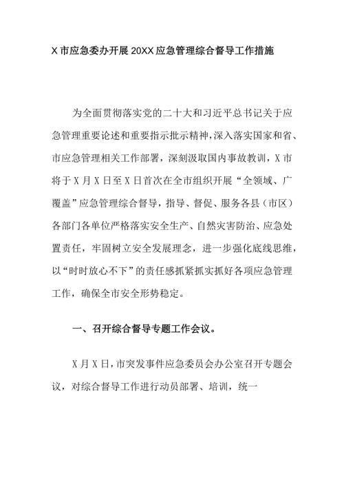 X市应急委办开展20XX应急管理综合督导工作措施.docx