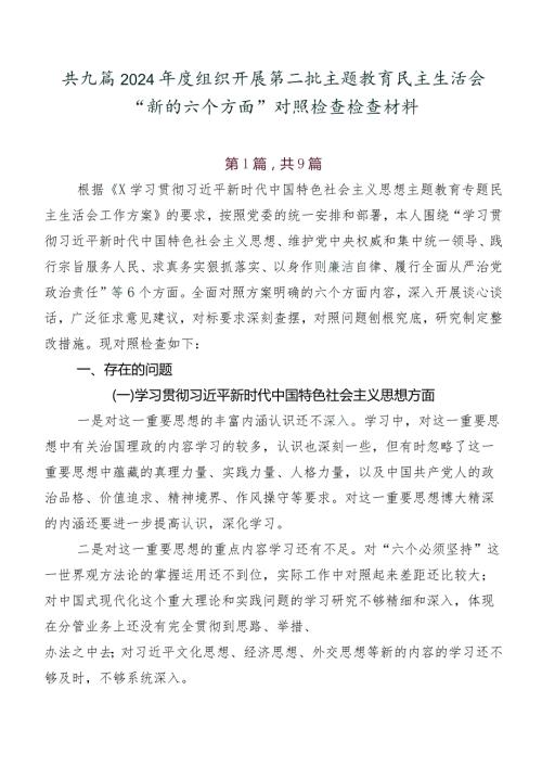 共九篇2024组织开展第二批集中教育民主生活会“新的六个方面”对照检查检查材料.docx
