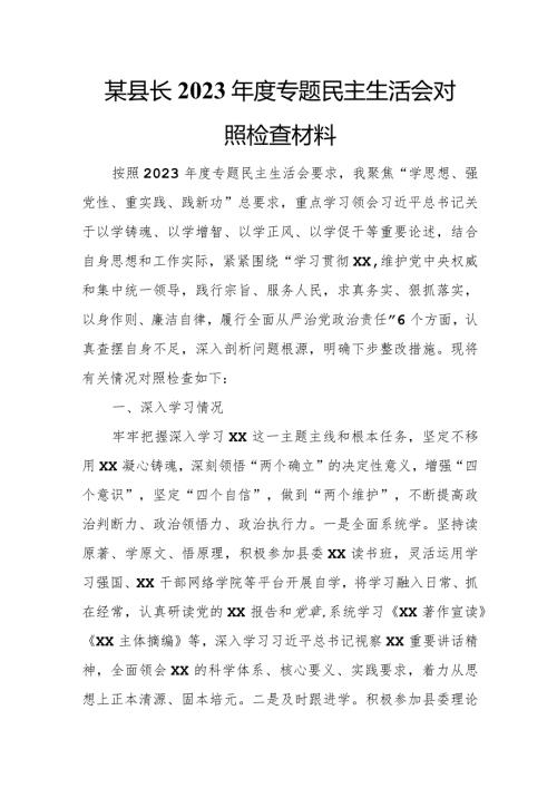 某县长2023专题民主生活会对照检查材料1.docx