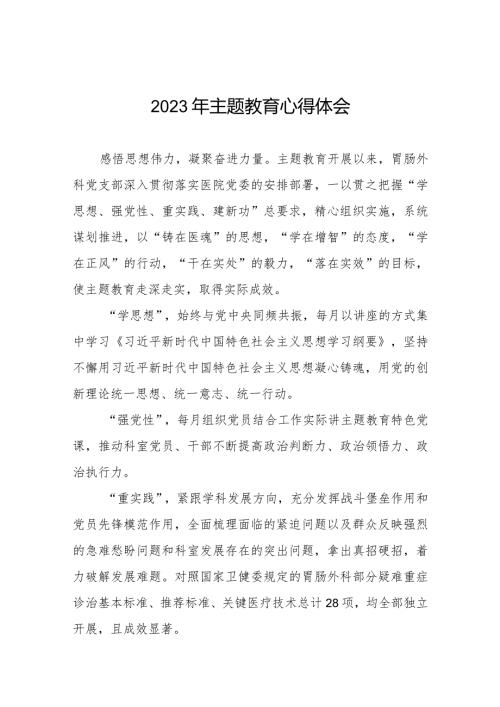 卫生院2023年主题教育心得体会八篇.docx