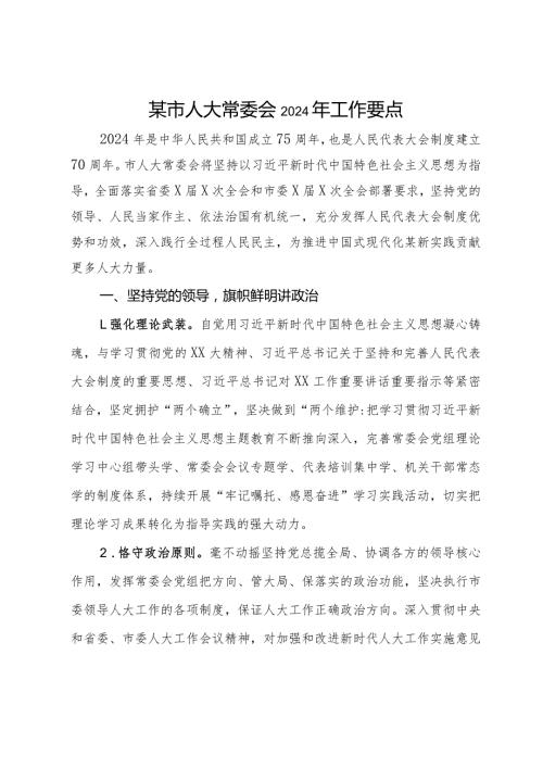 某市人大常委会2024年工作要点.docx