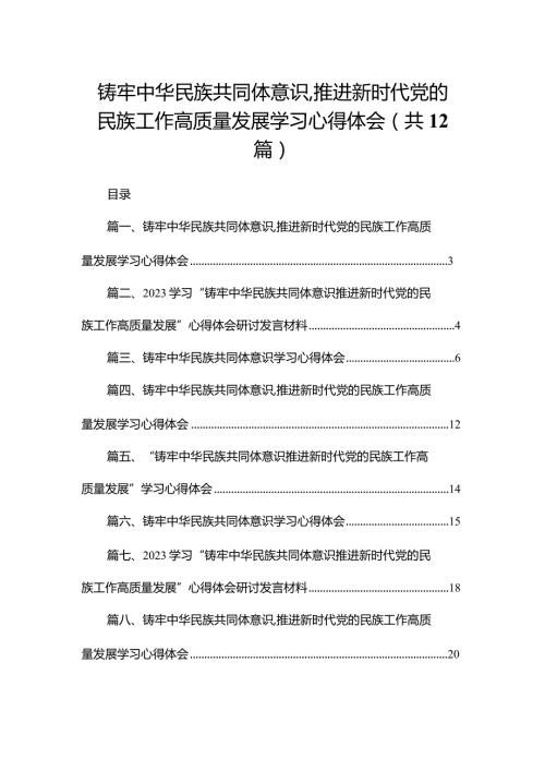 铸牢中华民族共同体意识,推进新时代党的民族工作高质量发展学习心得体会范文精选(12篇).docx