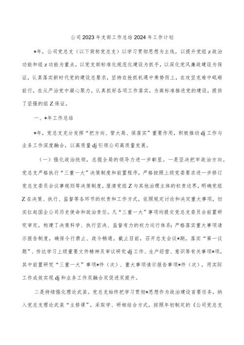 公司2023年支部工作总结2024年工作计划.docx