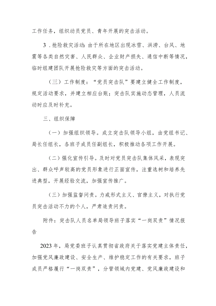 关于组建党员突击队工作方案(1).docx_第2页