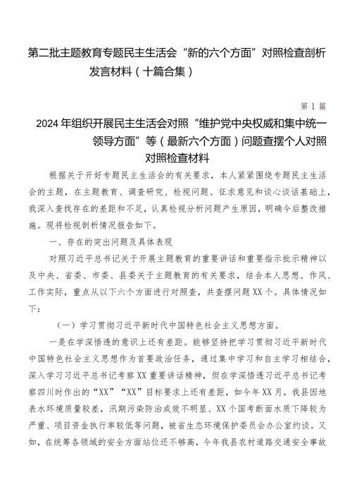 第二批集中教育专题民主生活会“新的六个方面”对照检查剖析发言材料（十篇合集）.docx