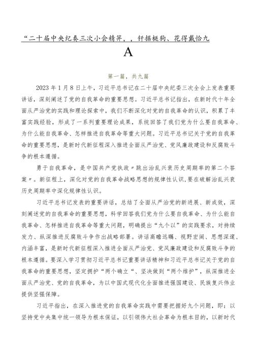 “二十中央纪委三次全会精神”讲话提纲、心得感悟九篇.docx