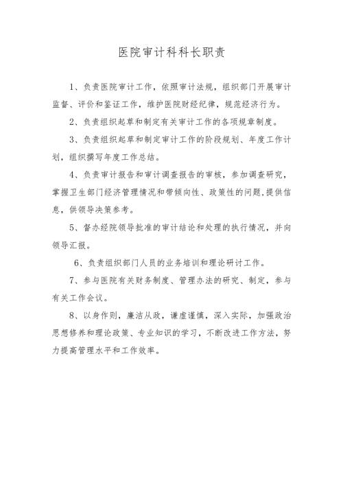 医院审计科科长职责.docx