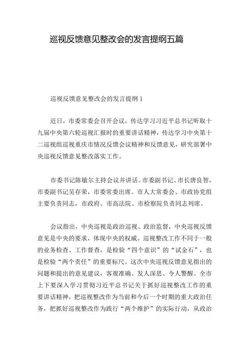 巡视反馈意见整改会的发言提纲五篇.docx