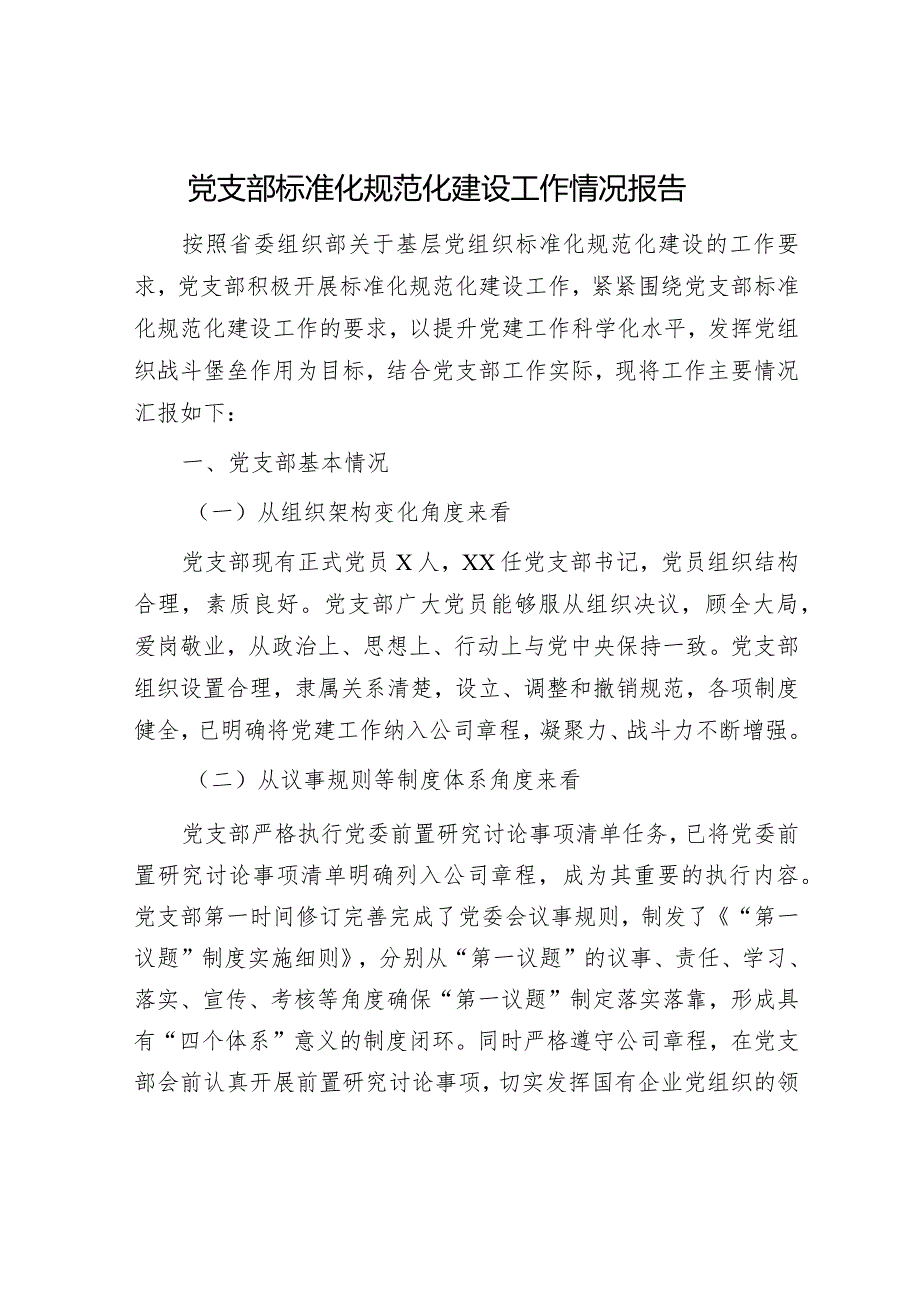 20232024党支部标准化规范化建设工作情况总结报告.docx_第1页