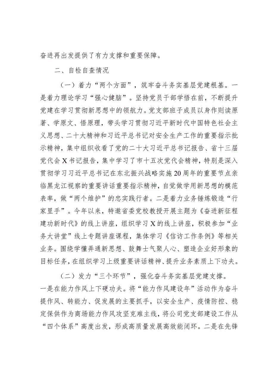 20232024党支部标准化规范化建设工作情况总结报告.docx_第3页