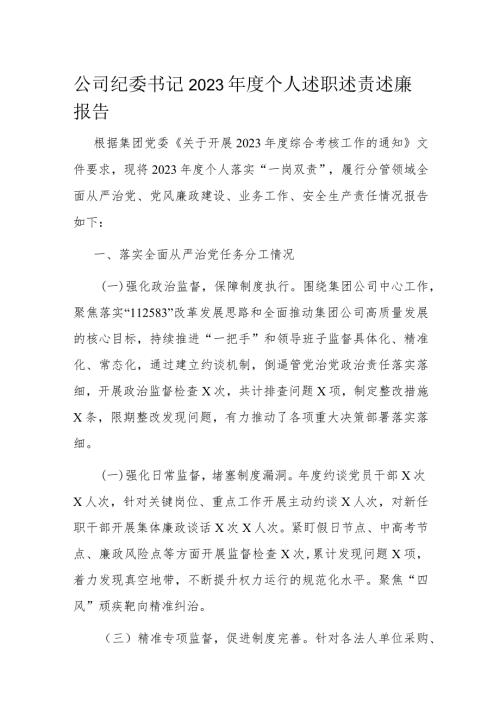 公司纪委书记2023个人述职述责述廉报告(2).docx