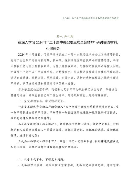 （八篇）二十中央纪委三次全会精神发言材料及心得体会.docx