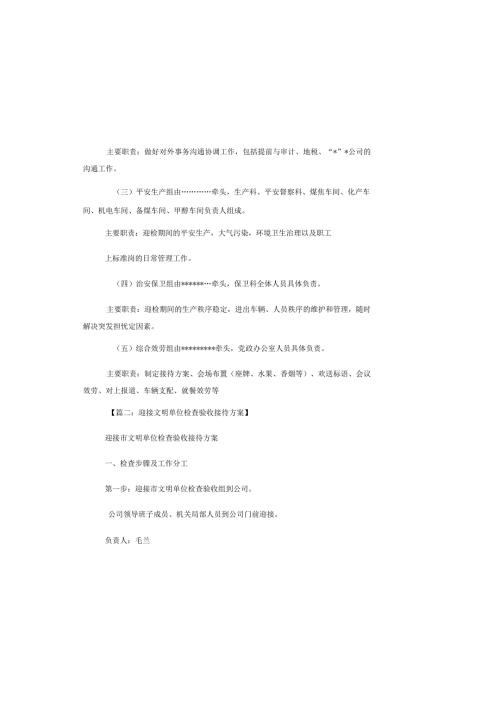 迎检与接待工作方案.docx