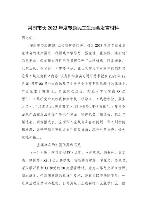 某副市长2023专题民主生活会发言材料.docx