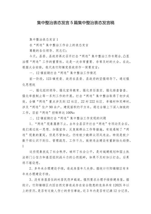 集中整治表态发言5篇 集中整治表态发言稿.docx