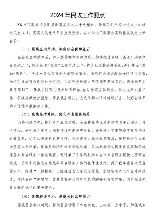 2024年民政工作要点.docx