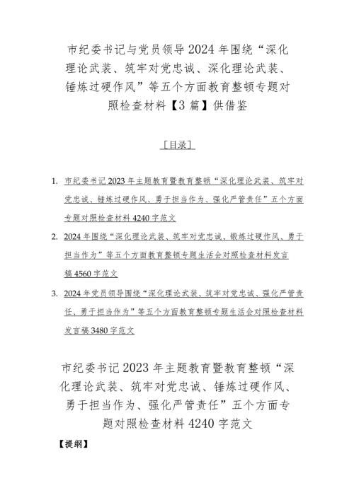 市纪委书记与党员领导2024年围绕“深化理论武装、筑牢对党忠诚、深化理论武装、锤炼过硬作风”等五个方面教育整顿专题对照检查材料【3篇】供借鉴.docx