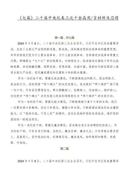 （七篇）二十中央纪委三次全会精神发言材料及心得体会.docx