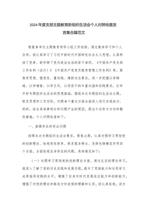 2024支部主题教育新组织生活会个人对照检查发言集合篇范文.docx