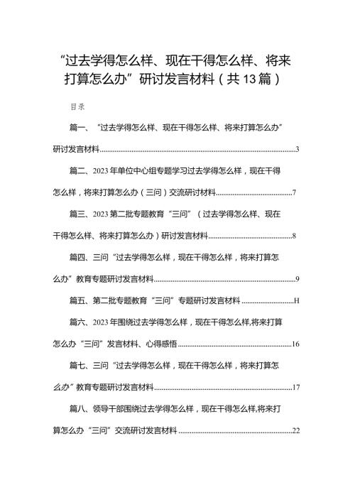 “过去学得怎么样、现在干得怎么样、将来打算怎么办”研讨发言材料（共13篇）.docx