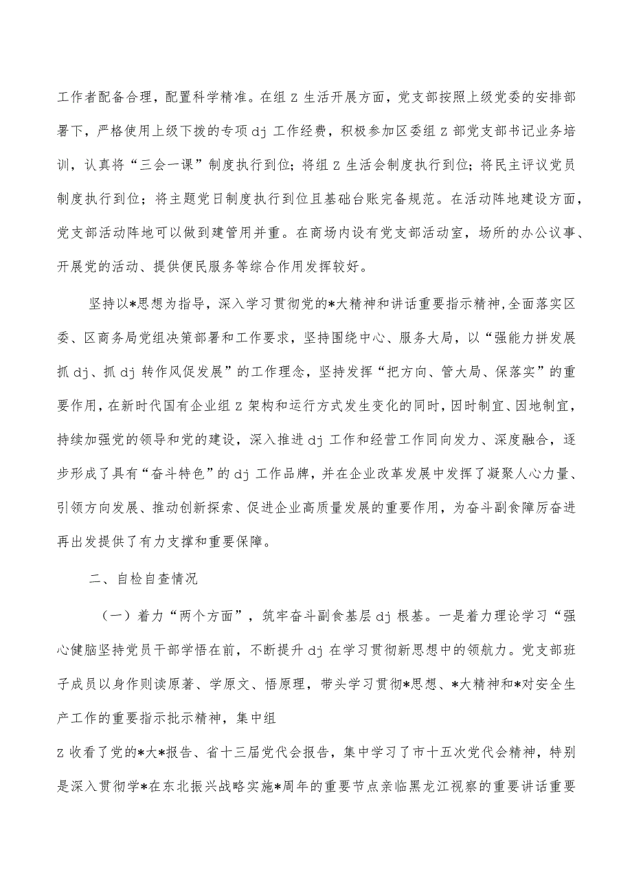 公司支部标准化规范化建设工作总结.docx_第2页