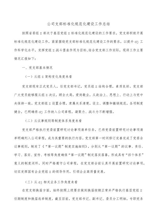 公司支部标准化规范化建设工作总结.docx