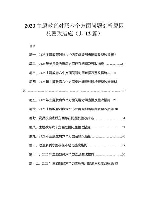 2023专题教育对照六个方面问题剖析原因及整改措施12篇（精编版）.docx