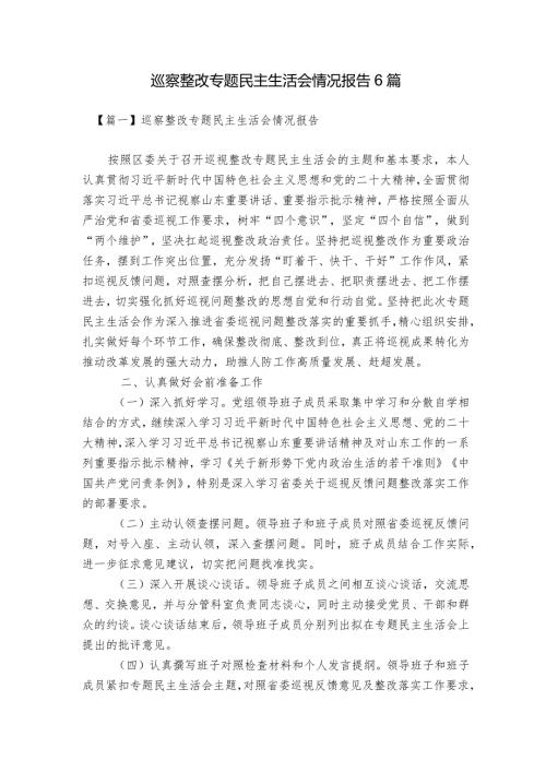 巡察整改专题民主生活会情况报告6篇.docx