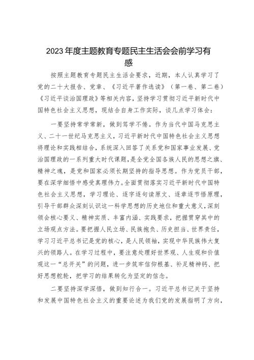 2023主题教育专题民主生活会个人剖析材料和感悟（精选两篇合辑）.docx