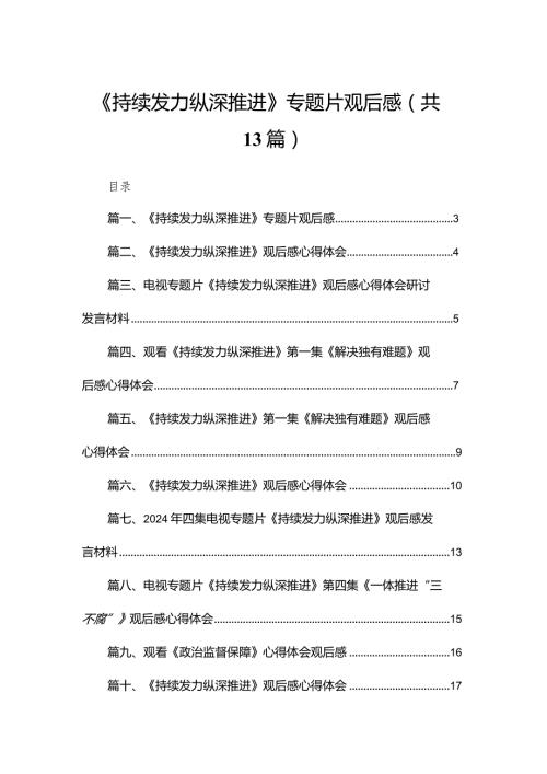 《持续发力纵深推进》专题片观后感【13篇精选】供参考(1).docx