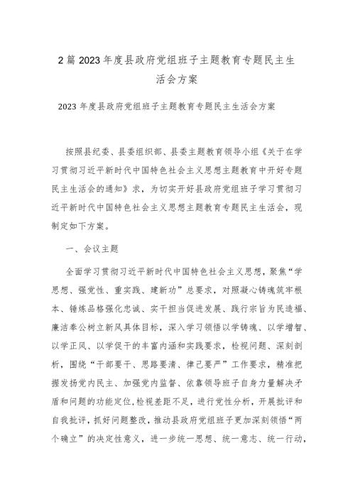2篇2023县政府党组班子主题教育专题民主生活会方案.docx