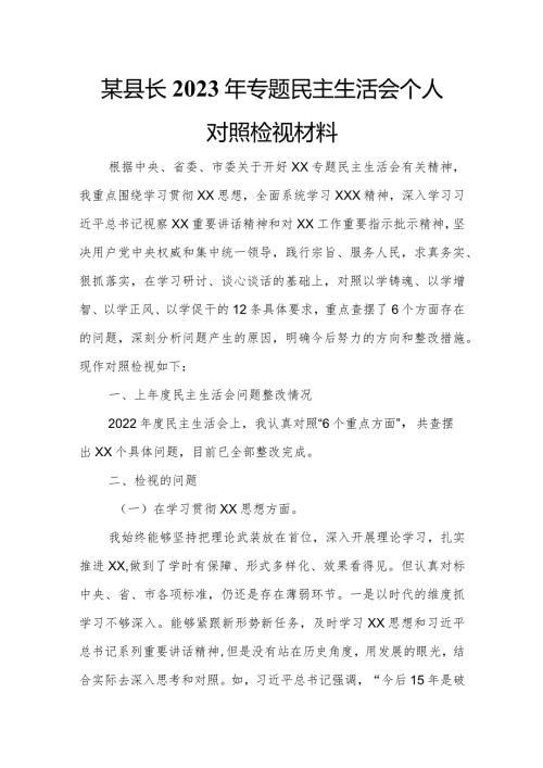 某县长2023年专题民主生活会个人对照检视材料.docx