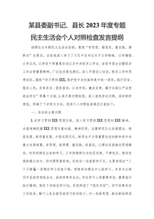 某县委副书记、县长2023专题民主生活会个人对照检查发言提纲.docx