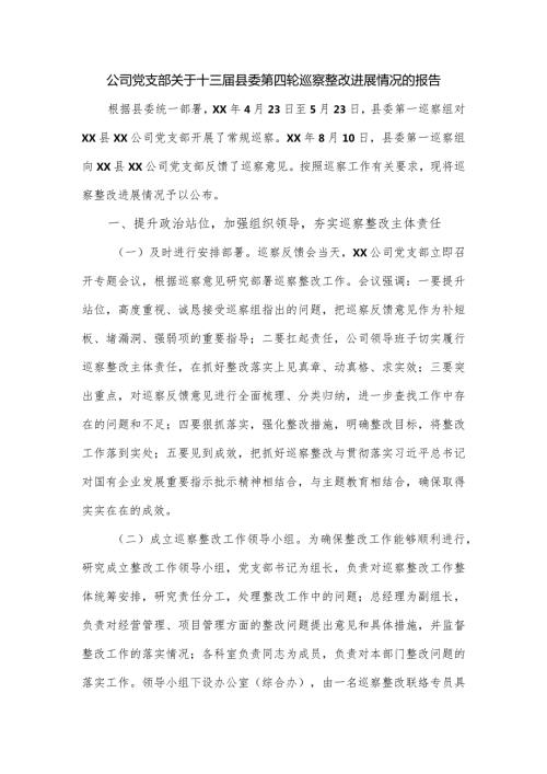 公司党支部关于十三县委第四轮巡察整改进展情况的报告.docx