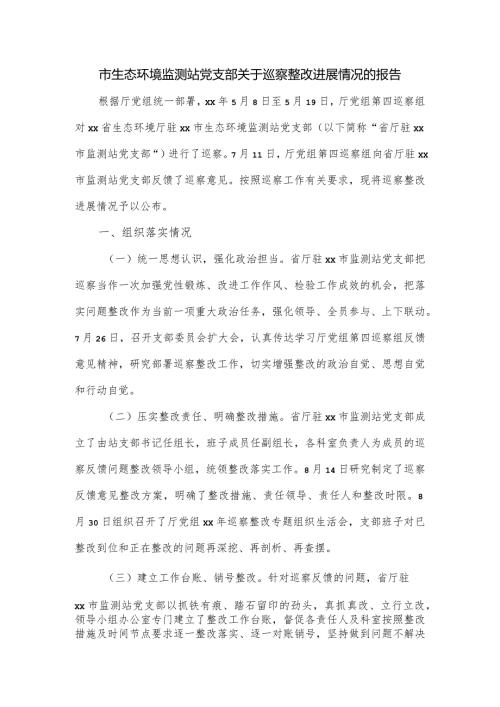 市生态环境监测站党支部关于巡察整改进展情况的报告.docx