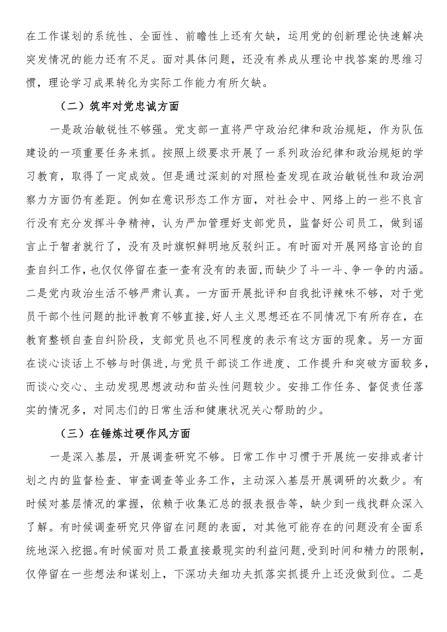 党支部班子主题教育暨教育整顿专题组织生活会对照检查材料 (1).docx_第2页